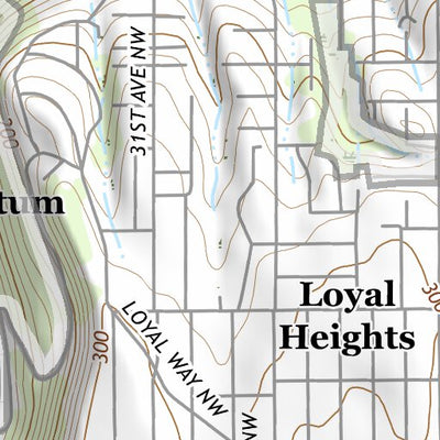 47122NE Page 56 Seattle Topo Preview 2