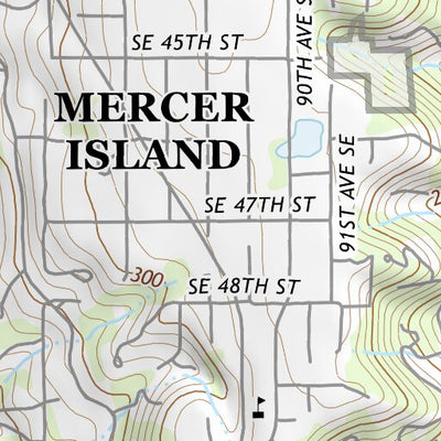 47122NE Page 84 Seattle Topo Preview 3