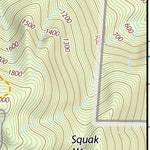 47122NE Page 100 Seattle Topo Preview 3