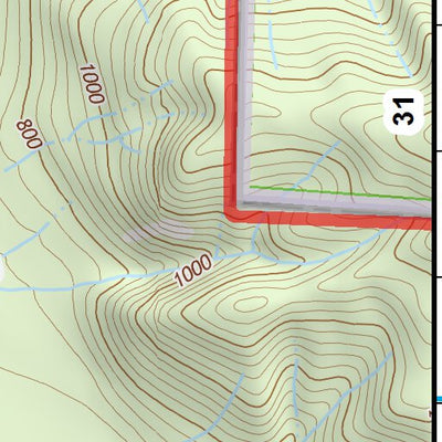 47124NE Page 30 Forks Topo Preview 3