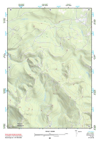 47124NE Page 65 Forks Topo Preview 1