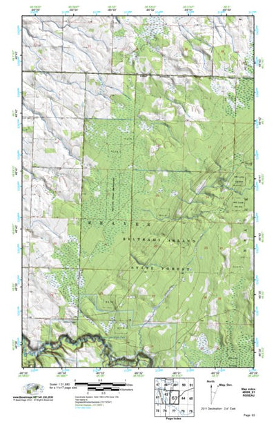 (48095e1) Page 063 Roseau Preview 1