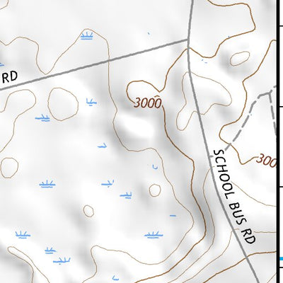 48108NE Page 4 Harlem Topo Preview 3