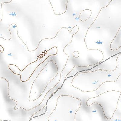 48108NE Page 6 Harlem Topo Preview 3