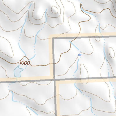48108NW Page 11 Harlem Topo Preview 3