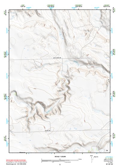 48108SW Page 1 Dodson Topo Preview 1