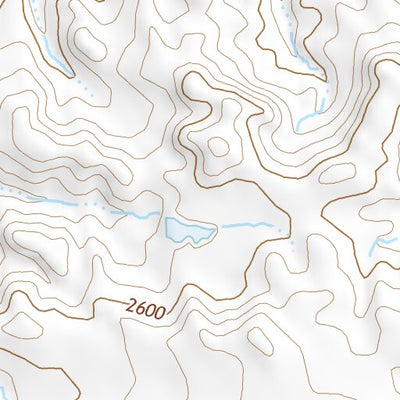 48108SW Page 4 Dodson Topo Preview 2