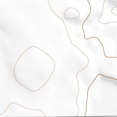 48110SE Page 8 Lonesome Lake Topo Preview 2