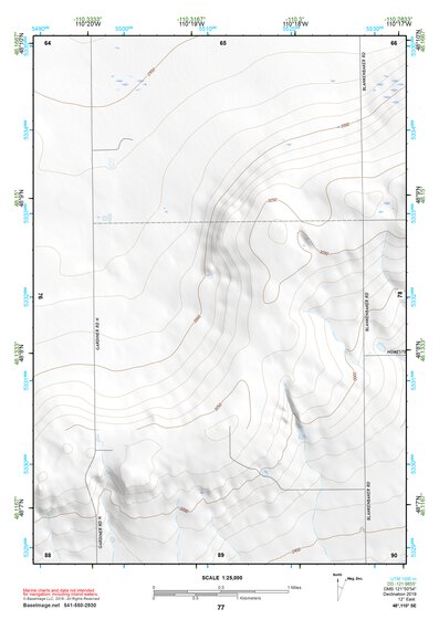 48110SE Page 77 Lonesome Lake Topo Preview 1