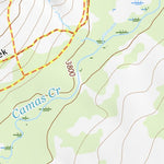 48113NW Page 73 Saint Mary Topo Preview 2
