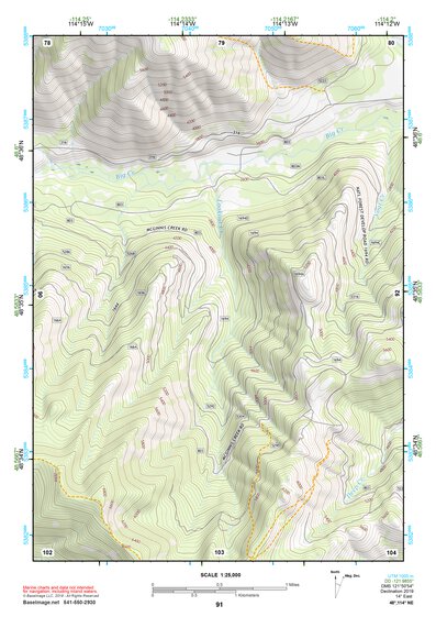 48114NE Page 91 Whitefish Range Topo Preview 1