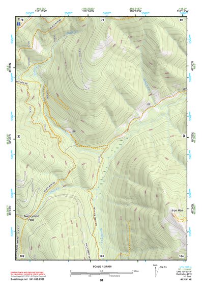 48116NE Page 91 Bonners Ferry Topo Preview 1