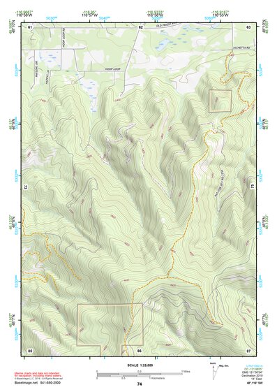 48116SW Page 74 Sandpoint Topo Preview 1