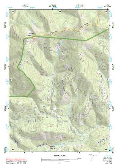 48117NE Page 31 Colville Topo Preview 1