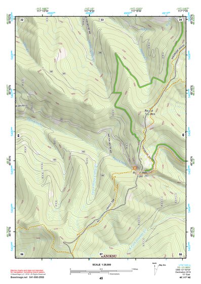 48117NE Page 45 Colville Topo Preview 1