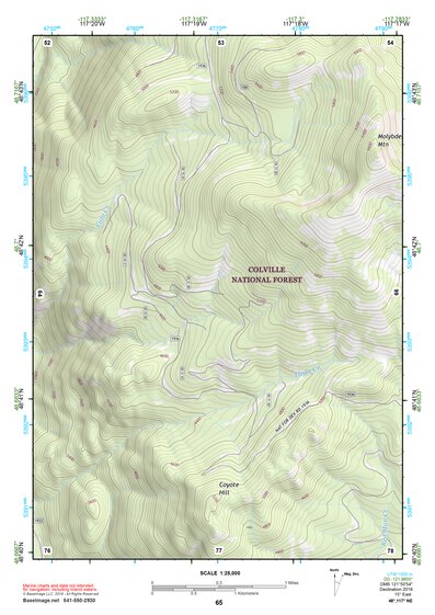 48117NE Page 65 Colville Topo Preview 1