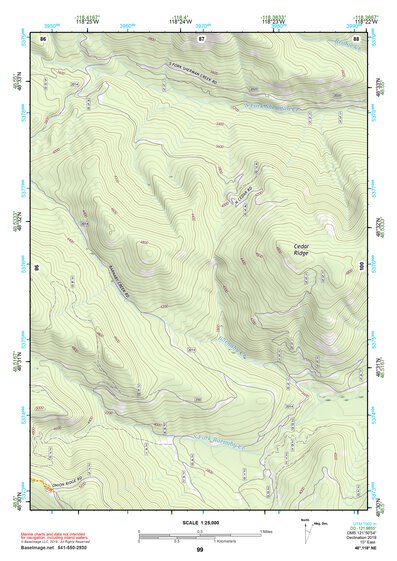 48118NE Page 99 Republic Topo Preview 1