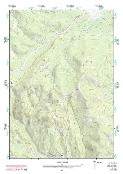48118SE Page 50 Nespelem Topo Preview 1