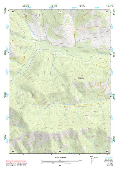 48118SE Page 77 Nespelem Topo Preview 1