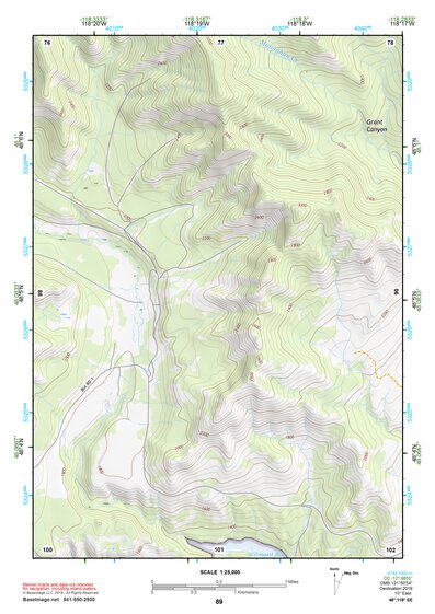 48118SE Page 89 Nespelem Topo Preview 1