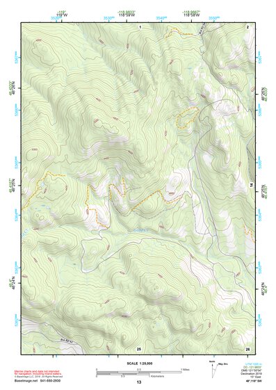 48118SW Page 13 Nespelem Topo Preview 1