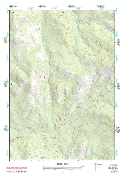 48118SW Page 22 Nespelem Topo Preview 1