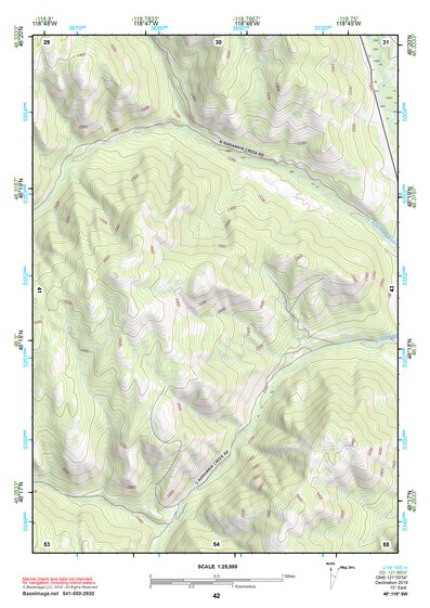 48118SW Page 42 Nespelem Topo Preview 1