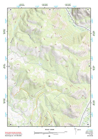 48118SW Page 55 Nespelem Topo Preview 1