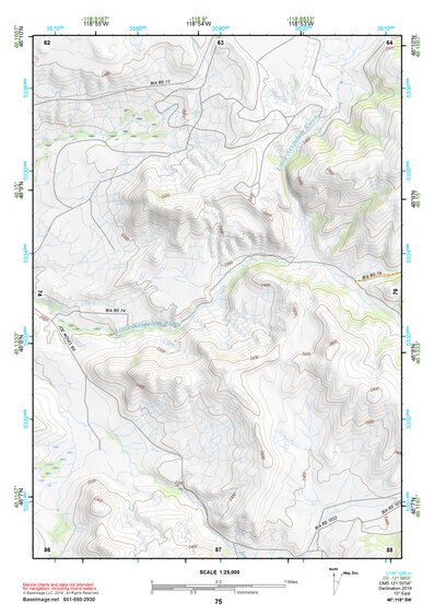 48118SW Page 75 Nespelem Topo Preview 1