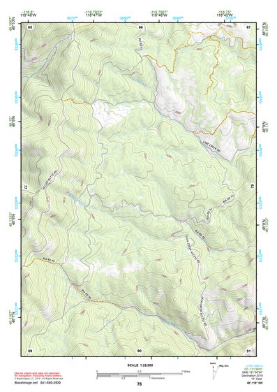 48118SW Page 78 Nespelem Topo Preview 1