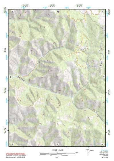 48118SW Page 81 Nespelem Topo Preview 1