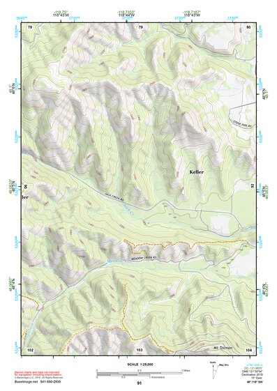 48118SW Page 91 Nespelem Topo Preview 1