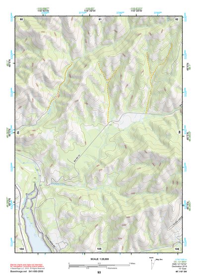 48118SW Page 93 Nespelem Topo Preview 1