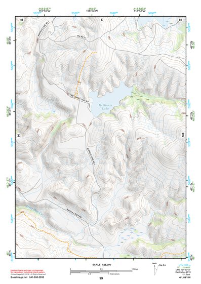48118SW Page 99 Nespelem Topo Preview 1