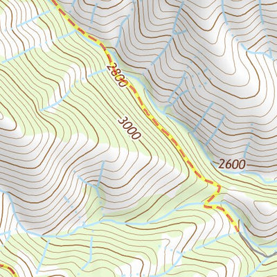48118SW Page 101 Nespelem Topo Preview 3