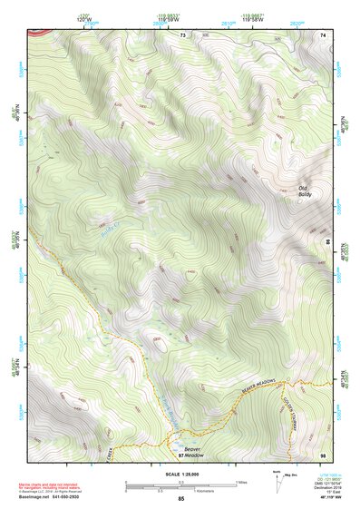 48119NW Page 85 Oroville Topo Preview 1