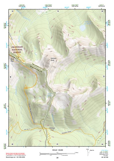 48120NW Page 31 Robinson Mountain Topo Preview 1