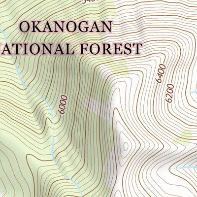 48120NW Page 68 Robinson Mountain Topo Preview 3