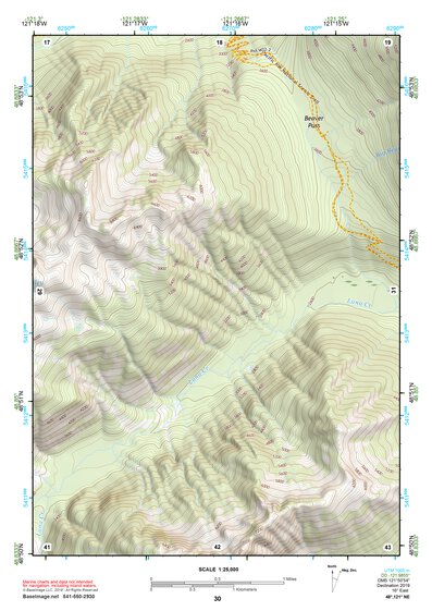 48121NE Page 30 Mount Baker Topo Preview 1