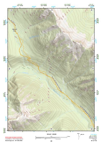 48121NE Page 31 Mount Baker Topo Preview 1