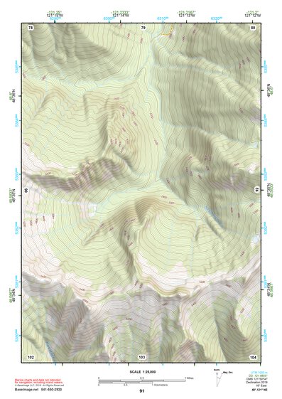 48121NE Page 91 Mount Baker Topo Preview 1