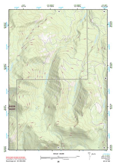 48121NW Page 25 Mount Baker Topo Preview 1