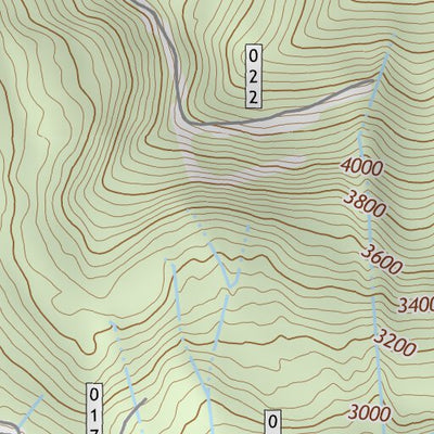 48121SE Page 49 Sauk River Topo Preview 2