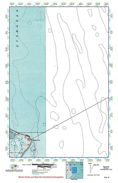 (58158e1) Page 030 Nushagak Bay - East Preview 1