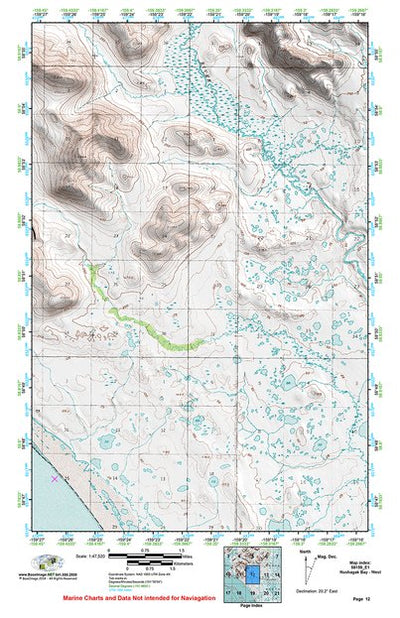 (58159e1) Page 012 Nushagak Bay - West Preview 1