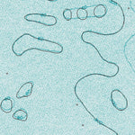 (59151a1) Page 028 Seldovia - Central Preview 3