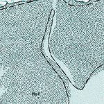 (59162e1) Page 003 Kuskokwim Bay - East Preview 3