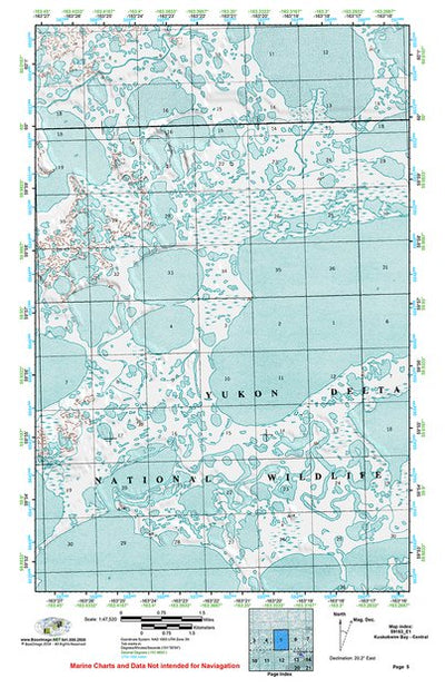 (59163e1) Page 005 Kuskokwim Bay - Central Preview 1