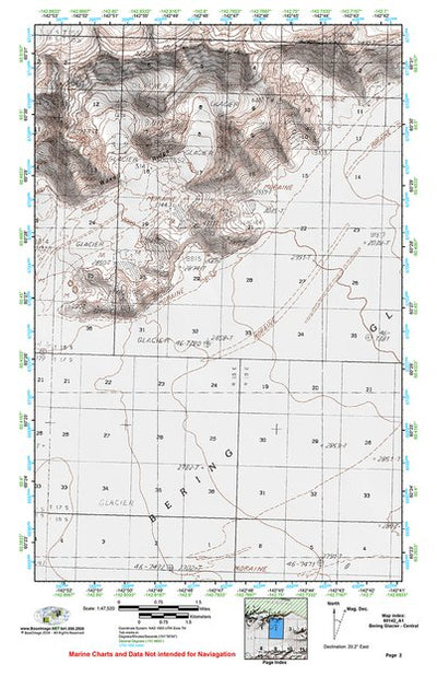 (60142a1) Page 002 Bering Glacier - Central Preview 1