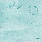 (60148e1) Page 006 Seward - Central Preview 3